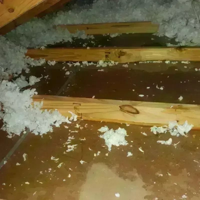 Attic Water Damage in Healy, AK