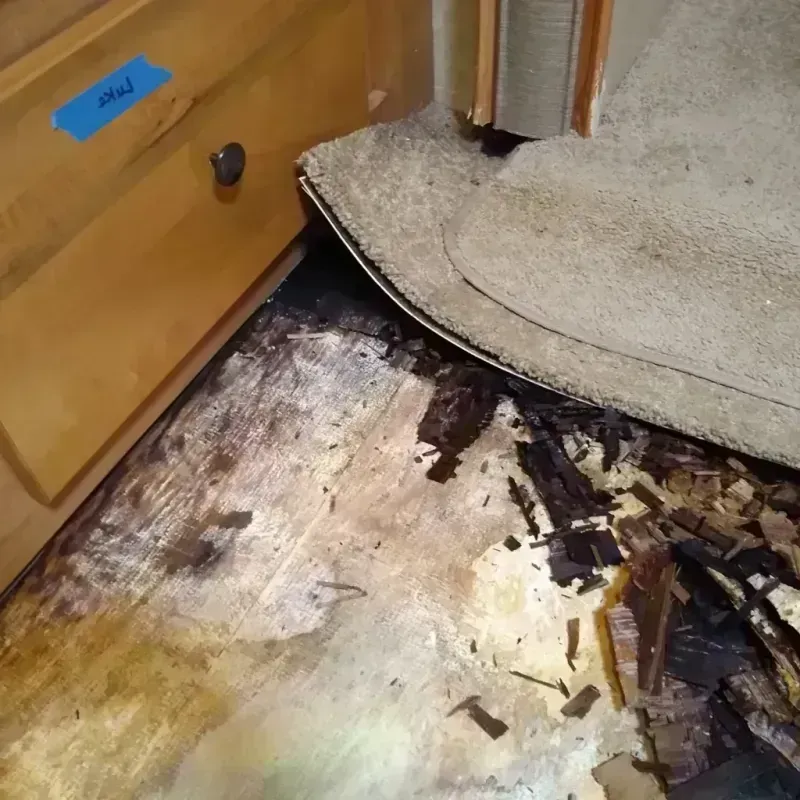 Wood Floor Water Damage in Healy, AK